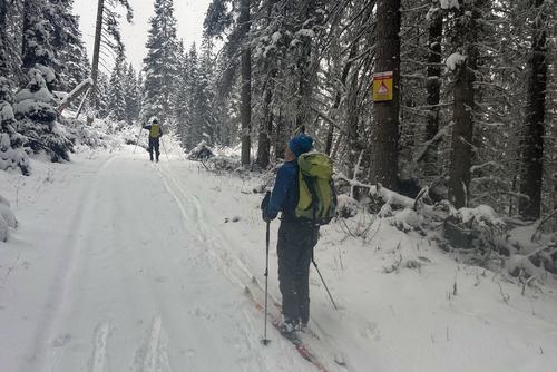 Paying heed to the avalanche zones on the Readearth fire road