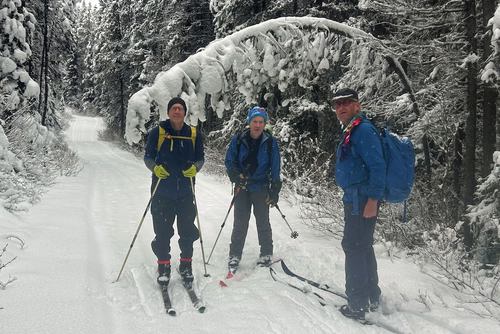 Winter Wonderland on the Redearth fire road
