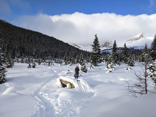 Skiing out of Hidden Lake - rays of sun (Ulli)