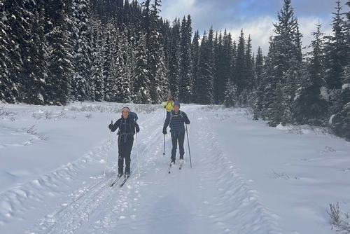 Entering Tyrwhitt Meadows