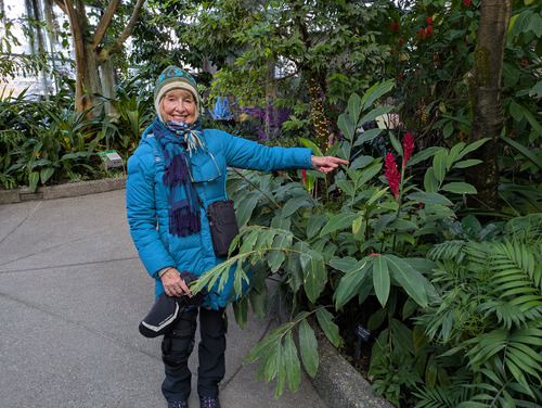 {952 Ginger Bradley} points out red ginger in the Conservatory