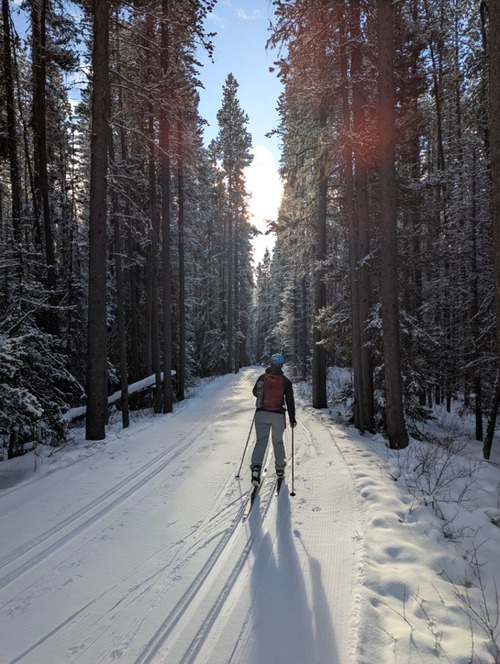 Tina skiing into the sun on the Meadow trail.