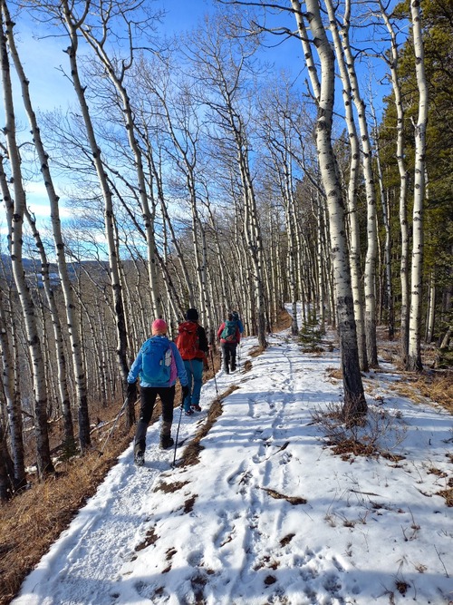 Easy going on Snagmore trail