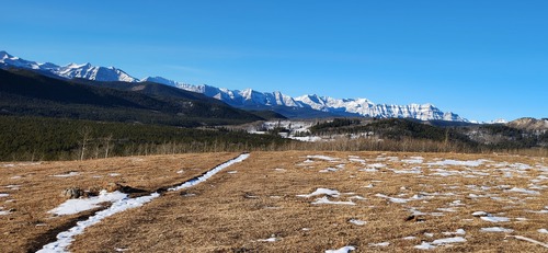 Long Prairie Ridge trail view