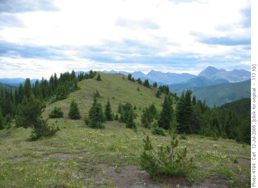 Top of East Hill