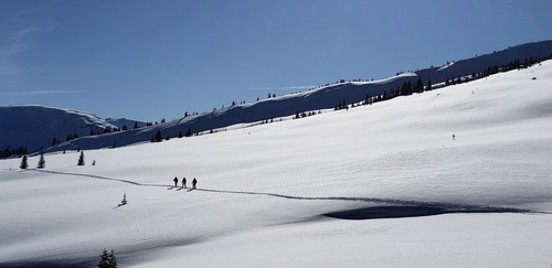 Ramblers traversing Park Bowl slopes Dave Henry Feb 2025
