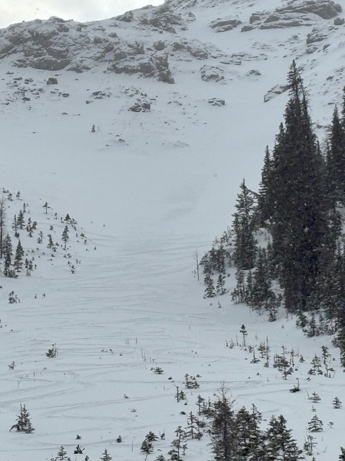 This is one slide path before the dogleg. We did not ski here, In the morning the Avy debris did not cover the uptrack, at the end of the day it had. 