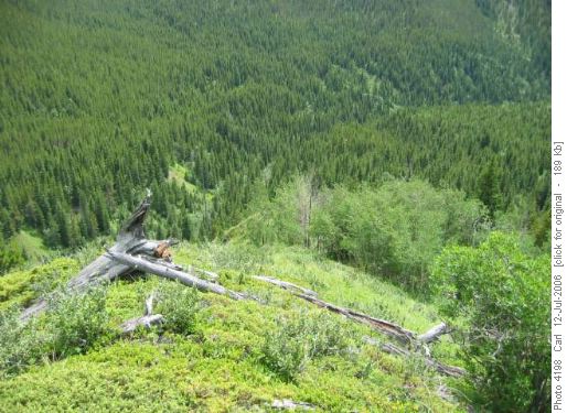 Lower section E. Hill South Ridge