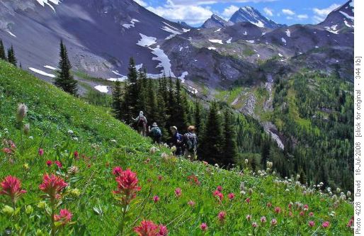 Birdwood Pass