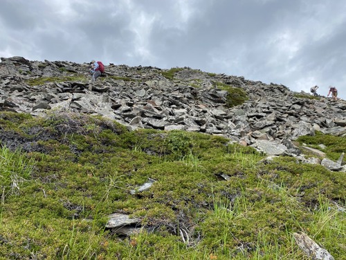 Coming down from Mt Ware (it's steeper than it looks)