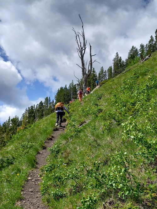 On the way up