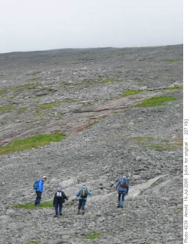 Mt Sparrowhawk: The Highlanders Trek Upwards