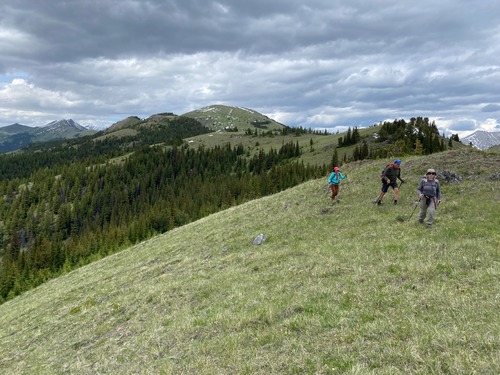 Coming down the optional ridge, blissfully unaware of the upcoming alder bushwhacking