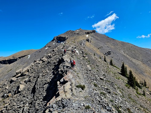 On the way to the top.
