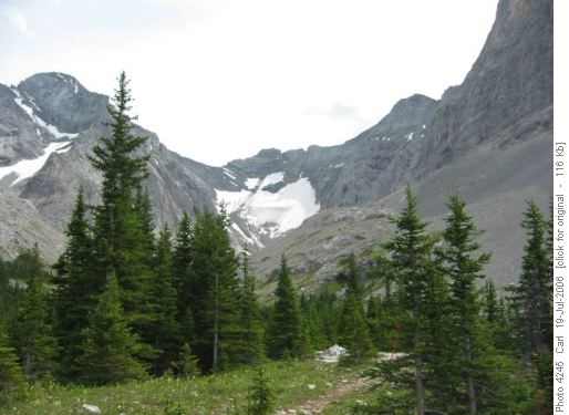 Rae Glacier from treeline