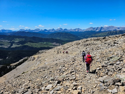 On the way down.