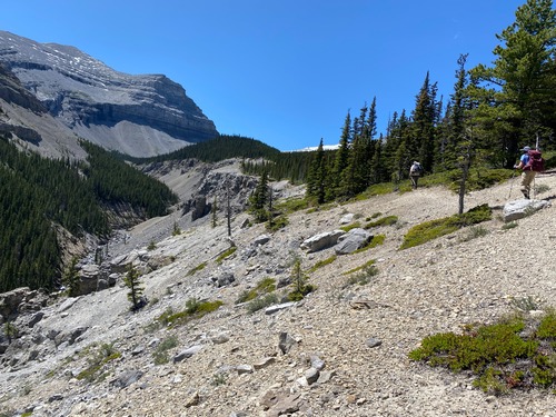 Hiking up Cornwall Creek valley 