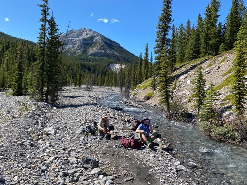 Cooling off at the creek
