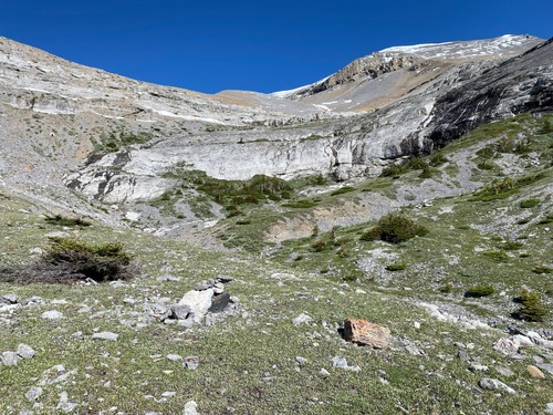 Alpine goodness