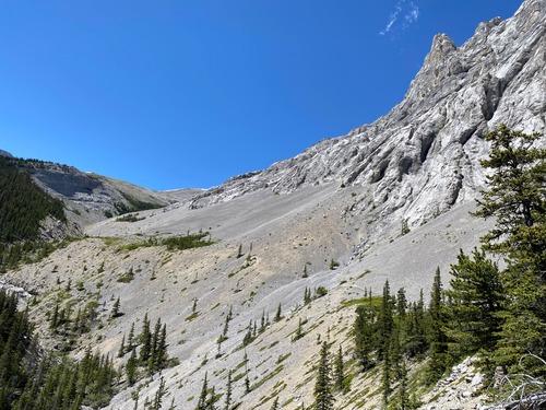 Looking back - that's a lot of scree...