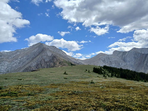 Old Baldy Knob ridge looking towards Old Baldy