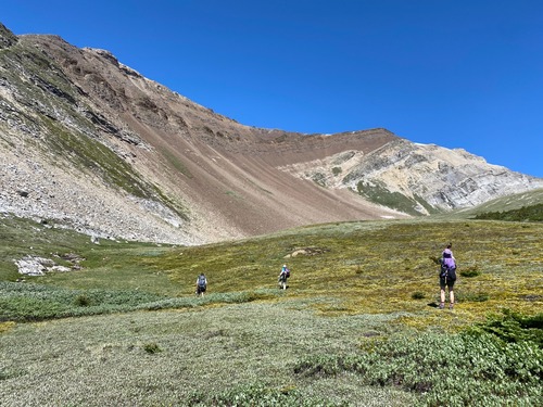 Vast alpine meadows