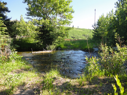 Ankle deep crossing of Pincher Creek enroute to Victoria Ridge and Prairie Bluff. Crocs used. 