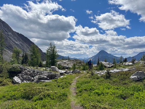 Nice green meadow heading back to Chester Lake