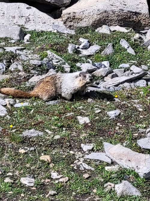 checking out the hikers