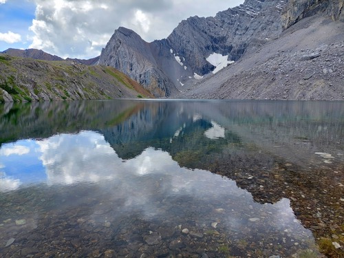 Beautiful reflections!