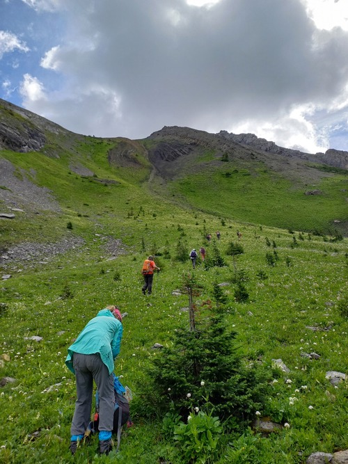 Starting the ascent to the col. Steeper and farther away than it looks