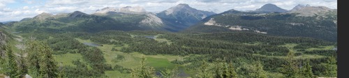 Panorama view east over Healy meadows