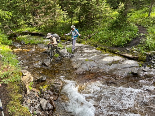 Stream crossing