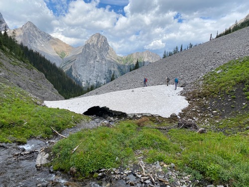 A contrast of lush green and old snow