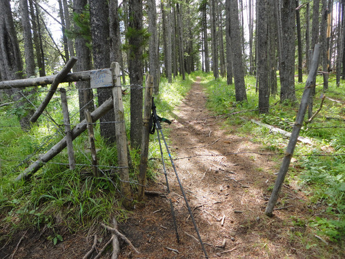Gate near start of Porupine Hills Extension