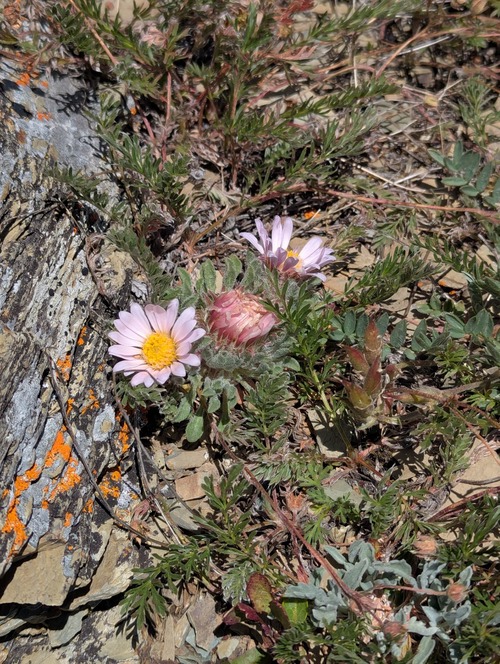 Photo 42690