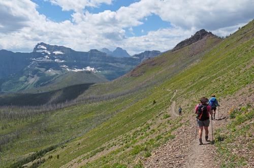 Easy scenic descent on the return through the basin, with plenty of flowers to enliven the burnt landscape. 
