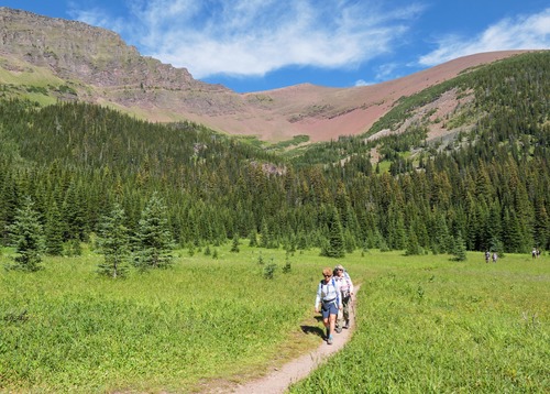 Arriving at the big meadow after a pleasant and cool walk through the mostly unburnt forest of the Rowe Lakes valley, with our destination on the skyline