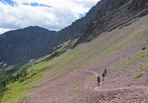 The good trail made for a quick descent through the basin, with quick stops to take in the great flower displays. 