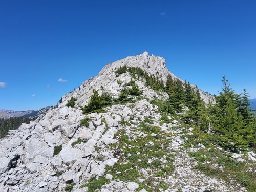 The summit is in sight