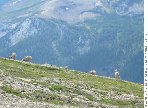 Some unknown Ramblers.