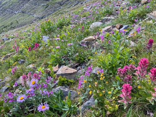 Excellent displays high on the valley walls
