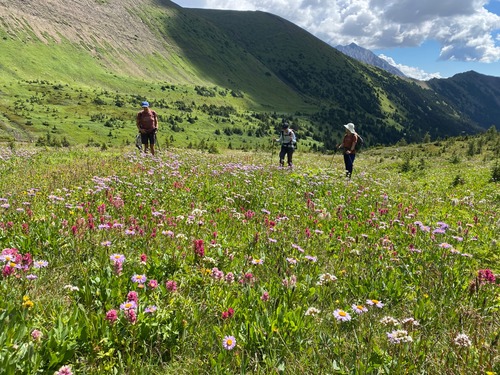Trying to not step on flowers! The steep ascent to Highwood Ridge is above the middle person.