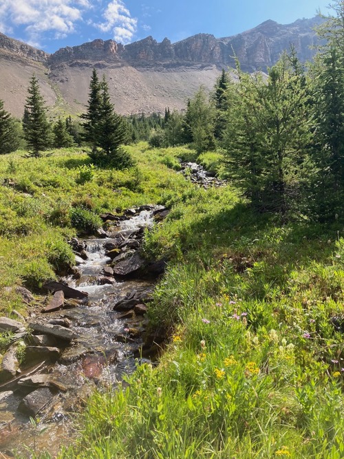 Stream in the valley between Wolverine Ridge and Redoubt