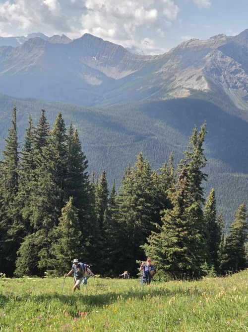 Lush meadows on the way up 