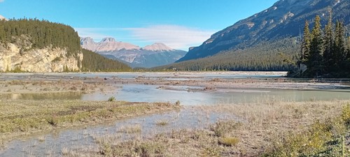 Howse River flood plain, GDT SectionD