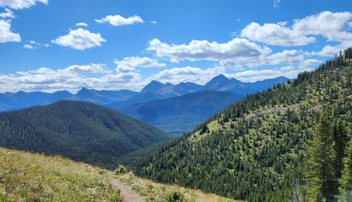Return view