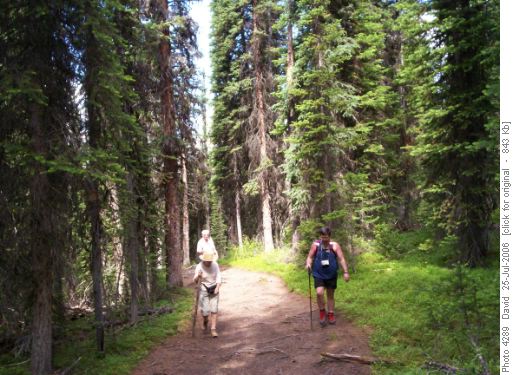 Gerry, Aunty Ann & uncle Sam walking up to Chester lake