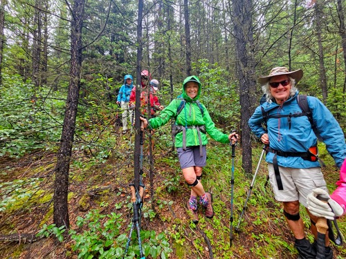 Bushwalking through the forest in the rain.