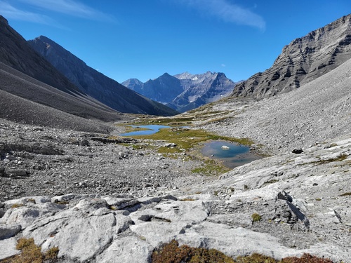 the tarns are drying up